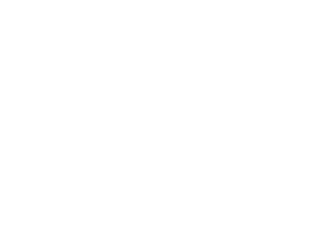 Beziy Studios Logo